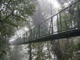 Puraventura monteverde - puentes colgantes