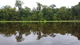 Puraventura