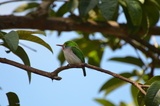 Puraventura , © Alain, viventura