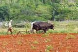 Puraventura , © Pascal, viventura