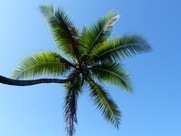 Puraventura Corcovado