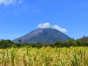 Puraventura ometepe