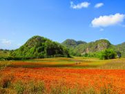 puraventura Mogotes de Viñales - Cuba